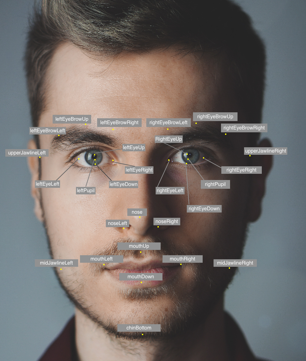 aws-face-landmarks